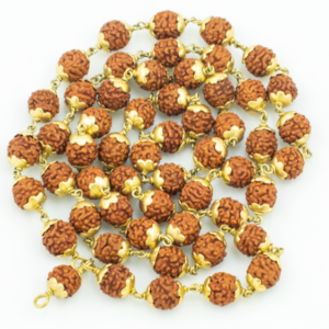 5 Mukhi Rudraksha Mala / Five Face Rudraksha Mala - Made in Brass Cap (54+1) Beads