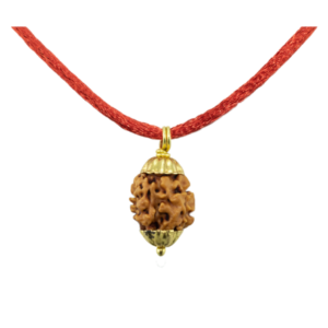 2 Mukhi Rudraksha Pendant / Two Face Rudraksha Pendant - Golden Metal Cap (Lab Certified)