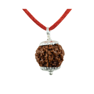5 Mukhi Rudraksha Pendant / Five Face Rudraksha Pendant - Pure Silver Cap (Lab Certified)