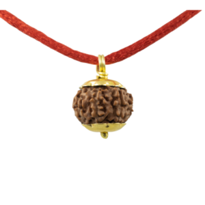 8 Mukhi Rudraksha Pendant / Eight Face Rudraksha Pendant - Golden Metal Cap (Lab Certified)
