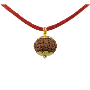 9 Mukhi Rudraksha Pendant / Nine Face Rudraksha Pendant - Golden Metal Cap (Lab Certified)