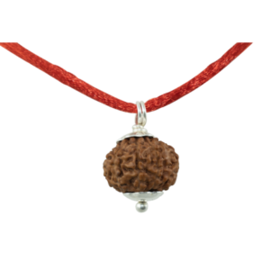 9 Mukhi Rudraksha Pendant / Nine Face Rudraksha Pendant - Pure Silver Cap (Lab Certified)