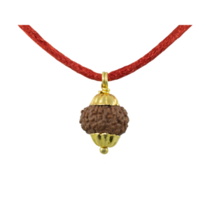 10 Mukhi Rudraksha Pendant / Ten Face Rudraksha Pendant - Golden Metal Cap (Lab Certified)
