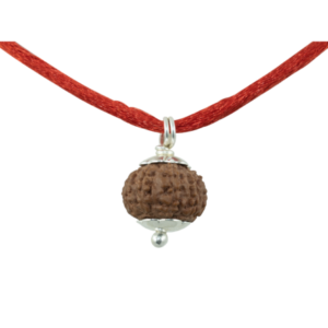 10 Mukhi Rudraksha Pendant / Ten Face Rudraksha Pendant - Pure Silver Cap (Lab Certified)