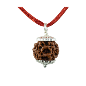 4 Mukhi Rudraksha Pendant / Four Face Rudraksha Pendant - Pure Silver Cap (Lab Certified)