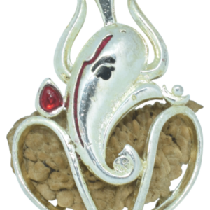 1 Mukhi Rudraksha / One Mukhi Rudraksha Pendant (Trishul Ganesha Silver Pendant)
