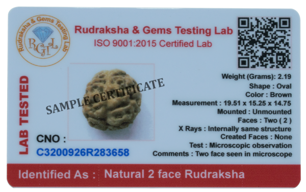 Two Face Rudraksha Sample Certificate